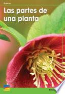 Libro de Las Partes De Una Planta