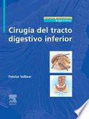 Libro de Cirugía Del Tracto Digestivo Inferior
