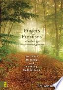 Libro de Oraciones Y Promesas