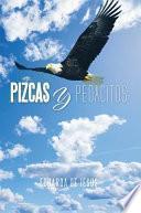 Libro de Pizcas Y Pedacitos