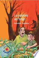 Libro de La Sombra Del Brujo/ The Shadow Of The Sorcerer