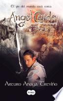 Libro de Ángel Caído