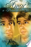 Libro de Amor A Primera Vista