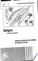 Libro de Saligna