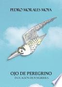 Libro de Ojo De Peregrino