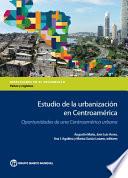 Libro de