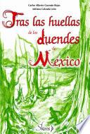 Libro de Tras Las Huellas De Los Duendes De México