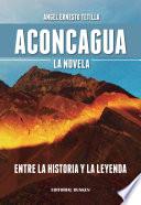 Libro de Aconcagua. La Novela