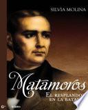 Libro de Matamoros, El Resplandor De La Batalla