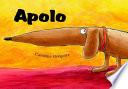 Libro de Apolo