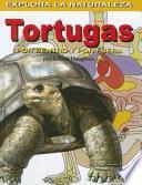 Libro de Pk:turtles:inside & Out/spanish