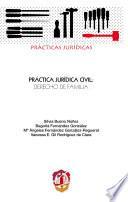 Libro de Práctica Jurídica Civil