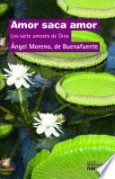 Libro de Amor Saca Amor