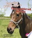 Libro de Caballos Pura Sangre/thoroughbred Horses