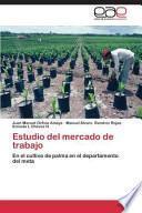 Libro de Estudio Del Mercado De Trabajo