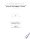 Libro de Más Allá Del Caribe, La Diferencia Africana En La Literatura Hispanoamericana Continental