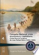 Libro de Campaña Nacional, Crisis Económica Y Capitalismo