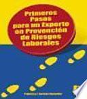 Libro de Primeros Pasos Para Un Experto En Prevención De Riesgos Laborales