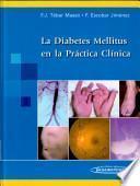 Libro de La Diabetes En La Práctica Clínica (ebook)