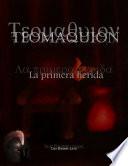 Libro de Teomaquión
