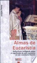 Libro de Almas De Eucaristía