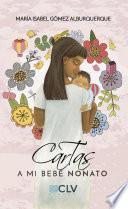 Libro de Cartas A Mi Bebé Nonato