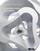 Libro de La Maravillosa Historia De Las Palabras