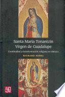 Libro de Santa María Tonantzin, Virgen De Guadalupe