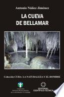 Libro de La Cueva De Bellamar