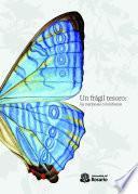 Libro de Un Frágil Tesoro: Las Mariposas Colombianas