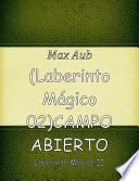 Libro de El Laberinto Mágico I