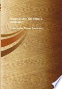 Libro de Organización Del Trabajo. Modelos