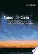 Libro de Caído Del Cielo