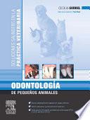 Libro de Odontología De Pequeños Animales