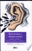 Libro de Encuestas Y Democracia