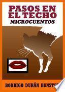 Libro de Pasos En El Techo
