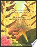 Libro de Algas Comunes Del Golfo De California