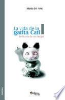 Libro de La Vida De La Gatita Cati I. En Busca De Un Hogar