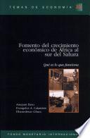 Libro de Promoting Growth In Sub Saharan Africa