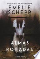 Libro de Almas Robadas
