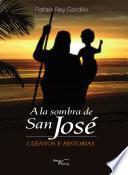 Libro de A La Sombra De San JosÉ
