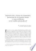 Libro de Reproducción Y Formas De Transmisión Patrimonial De Los Grandes Linajes Y Casas Nobiliarias En La Castilla Tardomedieval