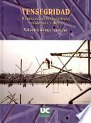 Libro de Tensegridad