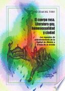Libro de El Cuerpo Rosa. Literatura Gay, Homosexualidad Y Ciudad