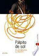 Libro de Pálpito De Sol