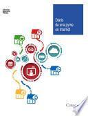 Libro de Diario De Una Pyme En Internet